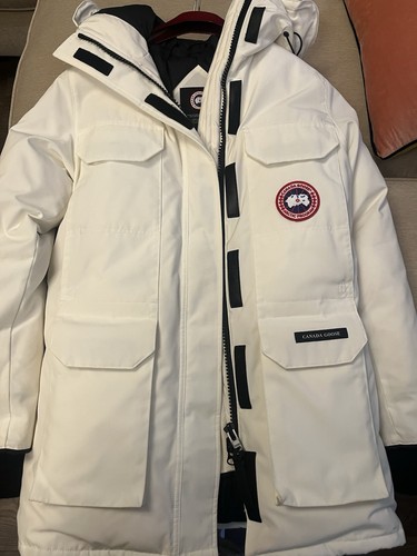 Canada goose expedition - goose,