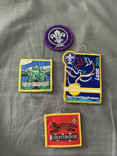 Vintage scout badges - scout,