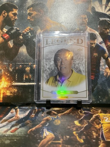Darts panini pdc - panini, john