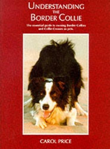Understanding the border - the,