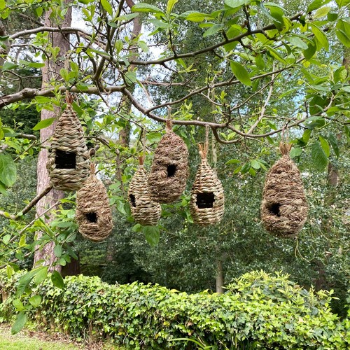 Bird nest nesting - nest, pack