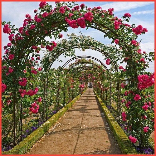 Heavy duty metal garden arch - heavy,