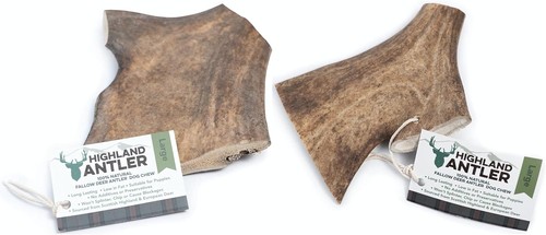 Antos fallow deer antlers - antos, for