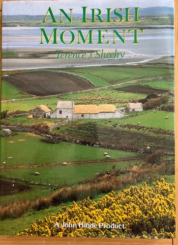 Irish moment terence - moment,