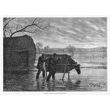 Shooting Wildfowl on the Upper Thames - Antique Print 1874