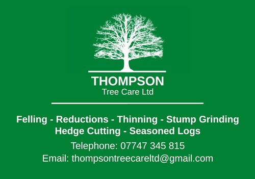 Tree surgery surgeon - tree,