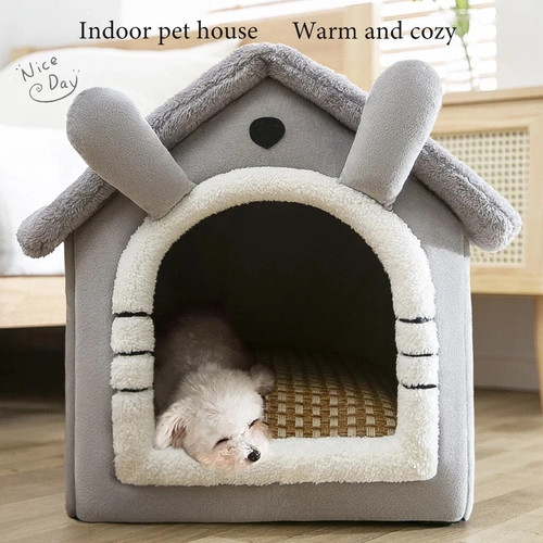 Large size pet cat - large, dog