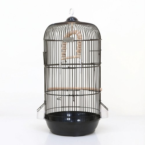 Bird cage with swing - swing, domed