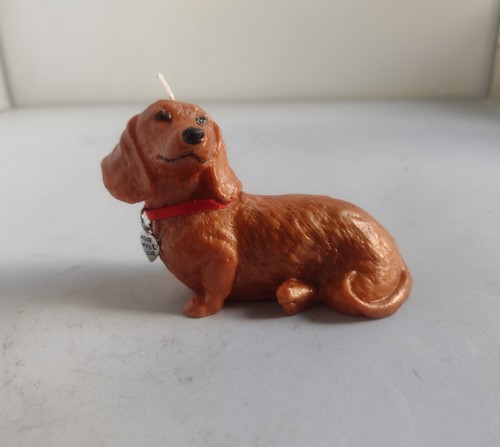 Cute tan miniature dachshund - cute,