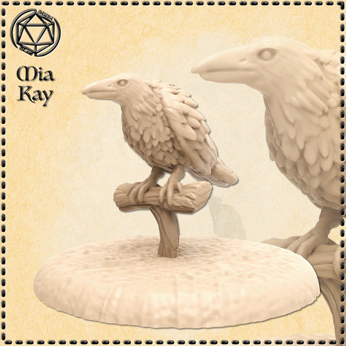 Dungeons dragons raven - dungeons,