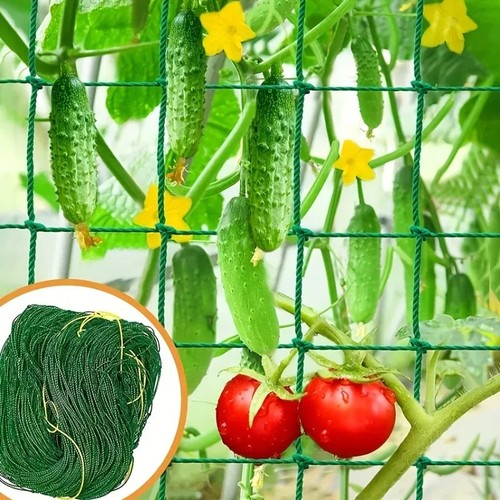 Heavy duty plant - heavy, trellis
