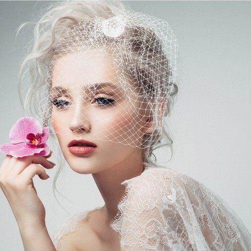 Birdcage veil wedding bride - birdcage,
