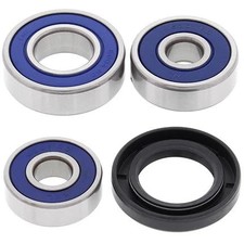 WHEEL BEARING KIT REAR 02-22