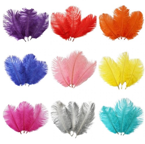 Sizes beautiful ostrich - sizes,