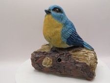 New Motion Sensor Activated