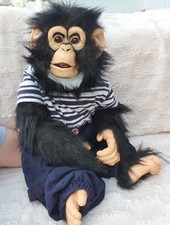 Axtell Expressions Chimp