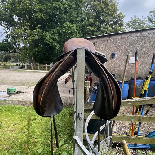 Whipy dressage saddle - saddle, 15/17”