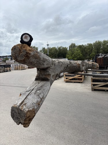 Huge reclaimed - huge,
