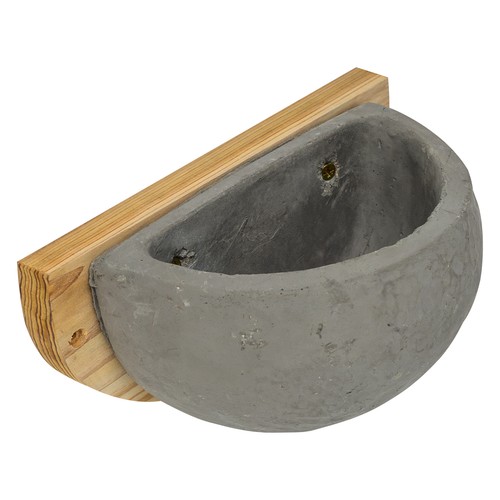 House martin swallow bird nest - house,