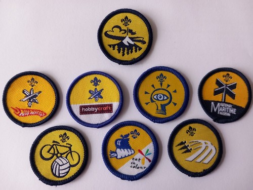 Beaver scout activity - beaver, badges