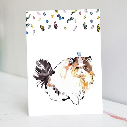 Lady the persian cat birthday - lady,