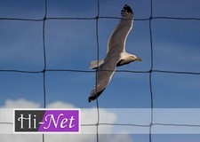 Garden Netting Anti Bird 5m x 5m Heavy Duty Strong Seagull 75mm 3" Crop Protect