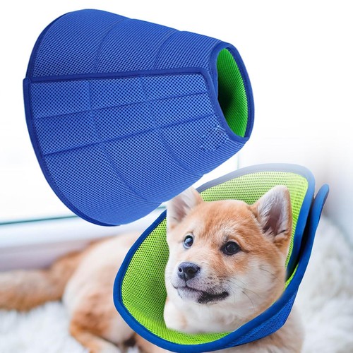 Dog cat soft - dog,