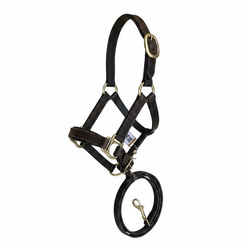 Mini shetland leather - mini,