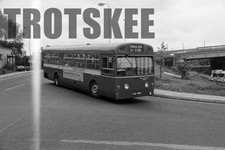 35mm Negative London Country