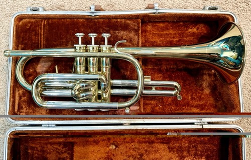 Olds cornet na5mu - f.e.,