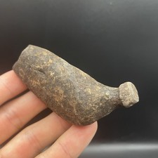 Fossil Whale Tooth Megalodon