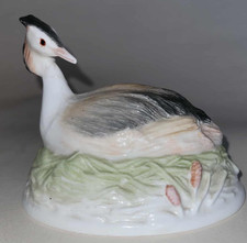 Very Rare, Vintage, Crown Staffordshire, Hand Painted, Great Crested Grebe #289