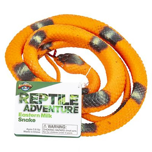Novelty reptile adventure - reptile,