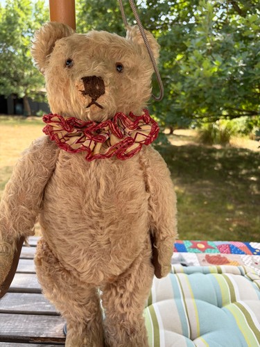 Steiff bear 1950s inches - bear,,