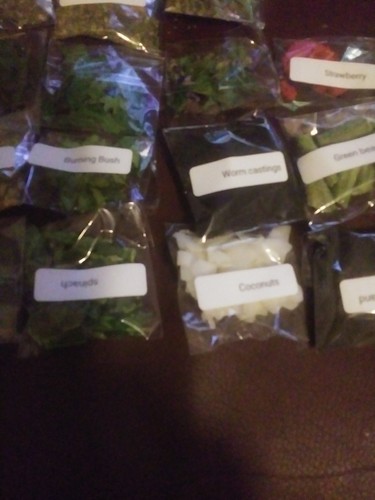 Land hermit crab food - hermit,