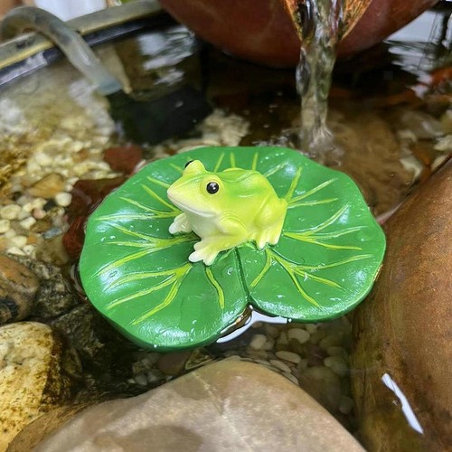 Floating water lily - water, with