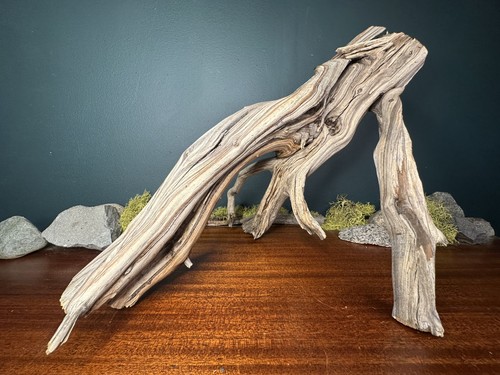 Manzanita driftwood - , 15”