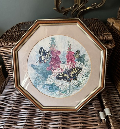 Framed vintage print - , of