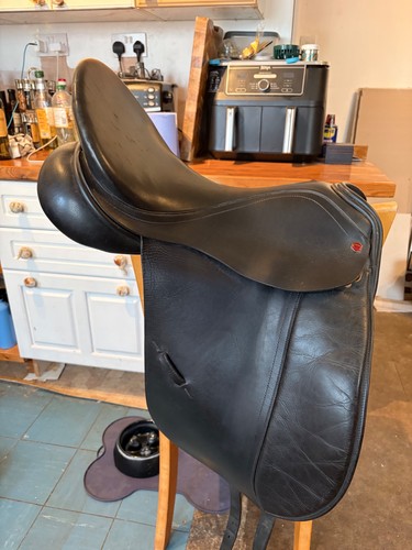 Albion legend dressage - albion, k2