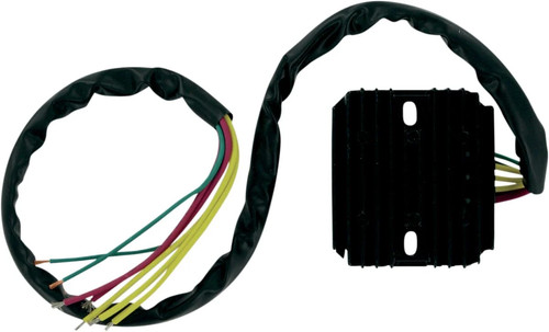 Rick motorsport electric - motorsport,
