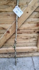 Twisted Twisty Wood Hazel