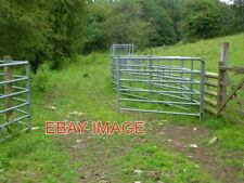 PHOTO  CATTLE CRUSH - WOODCHESTER PARK AT THE END OF THE METAL FENCING ON THE LE
