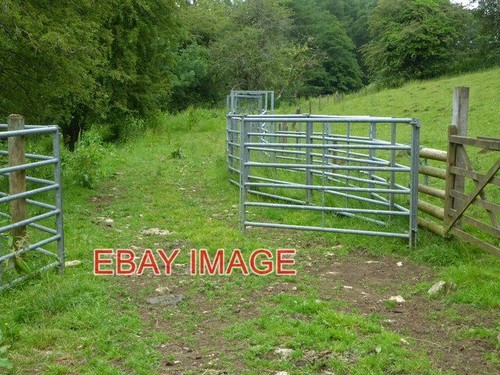 Photo cattle crush - ,