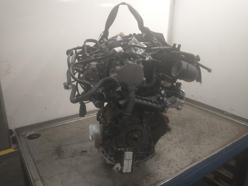 125ps ecoboost hybrid mhev - 125ps,