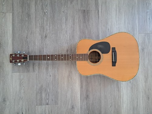 Acoustic guitar marlin mf - guitar,