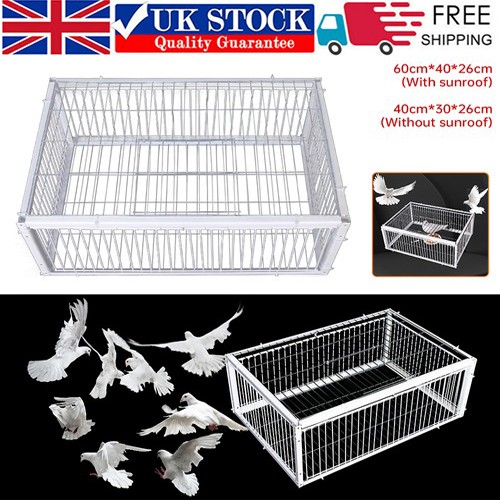 Portable pigeon trap cage - trap,