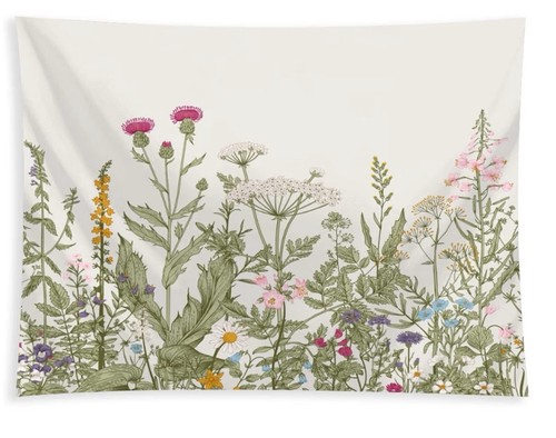 Botanical wild flower - botanical,