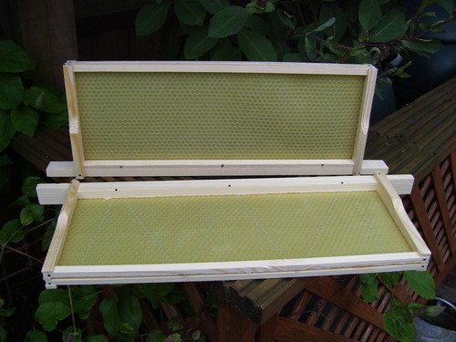 Sn4 national wbc frames - frames, with