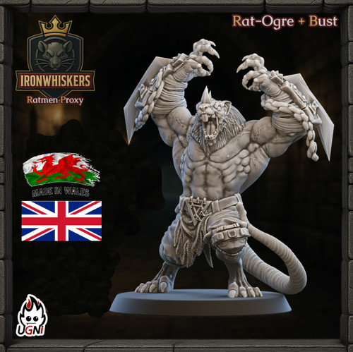 Fantasy football ugni - football, rat