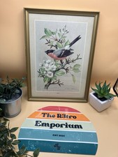 Painting Birds Of Britain